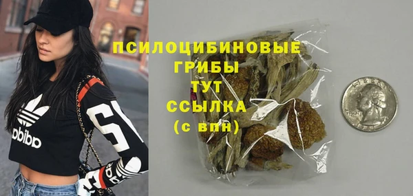 ALPHA PVP Белокуриха