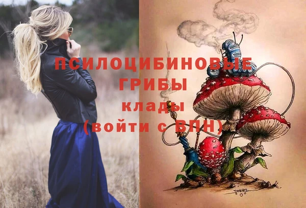 a pvp Пестово