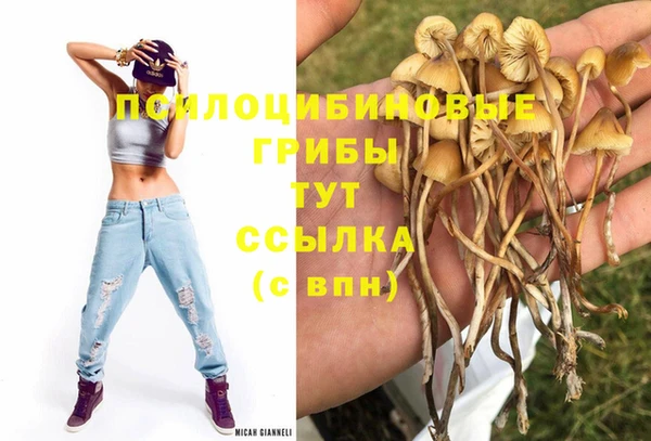 Альфа ПВП Белоозёрский