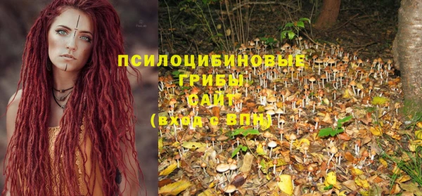 ALPHA PVP Белокуриха
